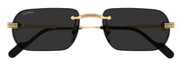 Gafas de sol Cartier Première CT0577S