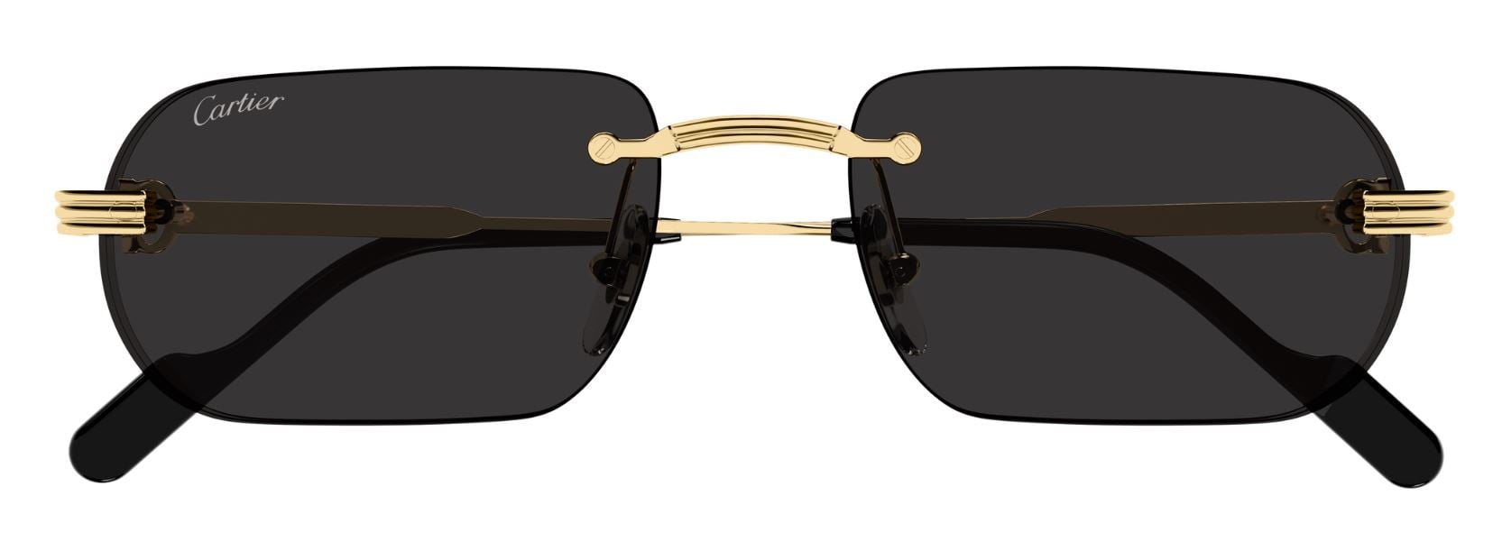 Gafas de sol Cartier Première CT0577S