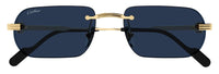 Gafas de sol Cartier Première CT0577S