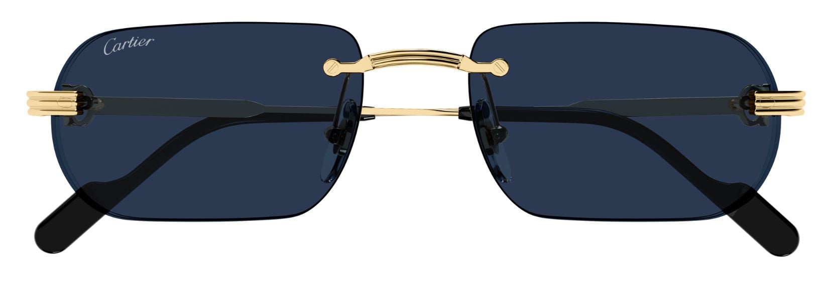 Gafas de sol Cartier Première CT0577S