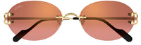 Gafas de Sol Cartier Piccadilly CT0551S