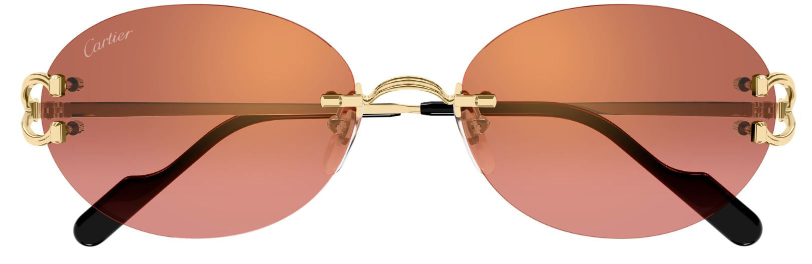 Gafas de Sol Cartier Piccadilly CT0551S