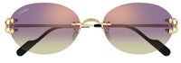 Gafas de Sol Cartier Piccadilly CT0551S