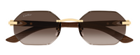 Occhiali da Sole Cartier Corne et Bois Décor C CT0439S