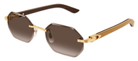 Occhiali da Sole Cartier Corne et Bois Décor C CT0439S