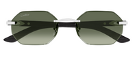 Occhiali da Sole Cartier Corne et Bois Décor C CT0439S