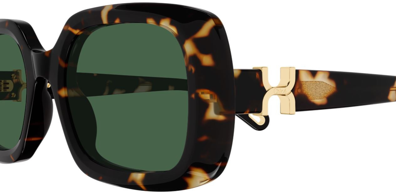 Óculos de sol Chloe CH0333S