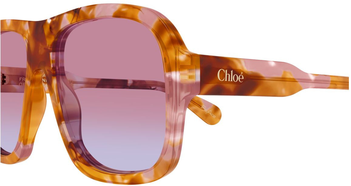 Sonnenbrille Chloe CH0331S