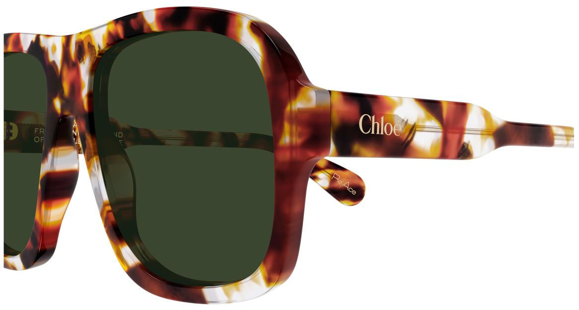 Sonnenbrille Chloe CH0331S