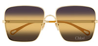 Gafas de sol Chloe CH0324S