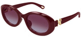 Gafas de Sol Chloe CH0323SK
