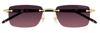 Sonnenbrille Montblanc Meisterstück MB0344S