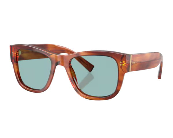 Dolce & Gabbana Domenico DG4338 Sunglasses