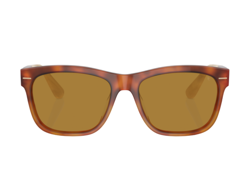 Zonnebrillen Brunello Cucinelli BC4003S