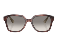 Occhiali da sole Brunello Cucinelli BC4005S
