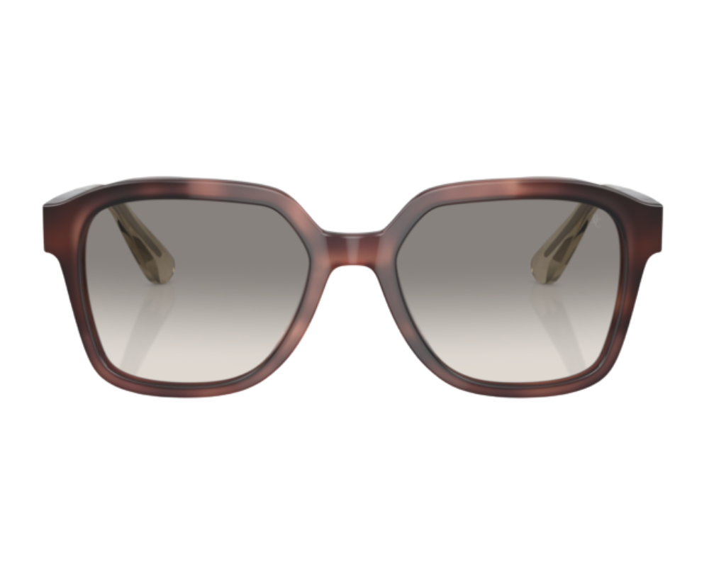 Occhiali da sole Brunello Cucinelli BC4005S