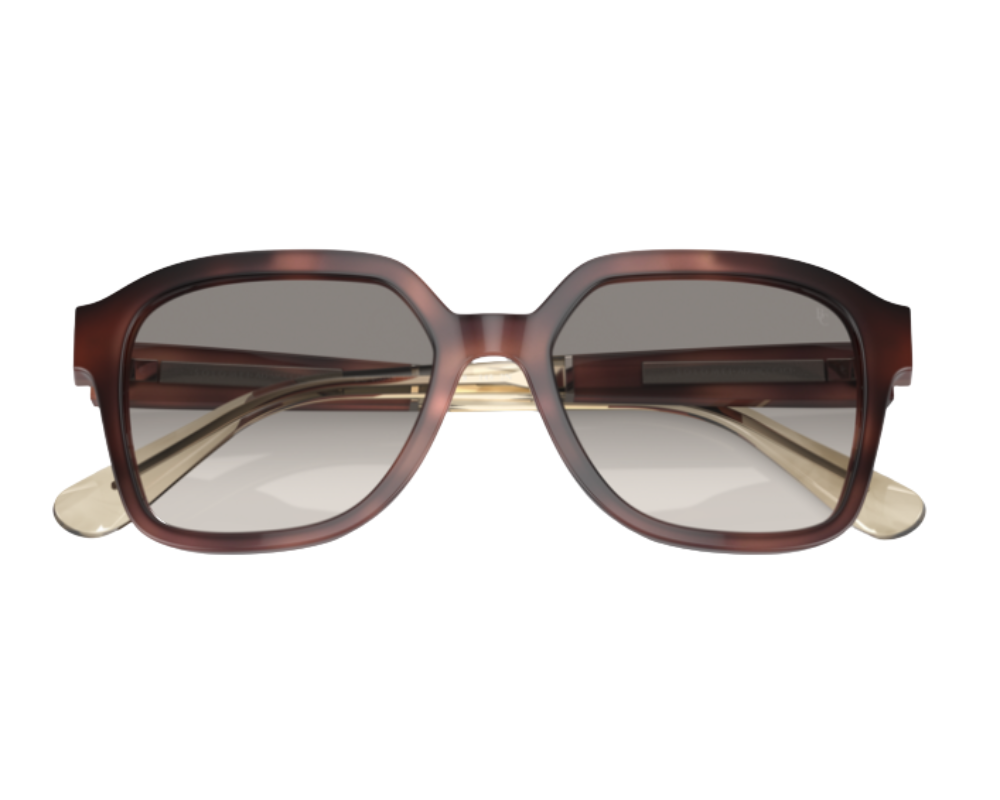 Occhiali da sole Brunello Cucinelli BC4005S