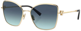 Gafas de Sol Tiffany & Co TF3102B