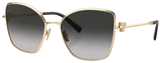Gafas de Sol Tiffany & Co TF3102B