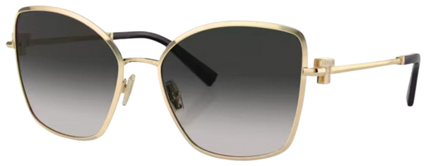 Gafas de Sol Tiffany & Co TF3102B