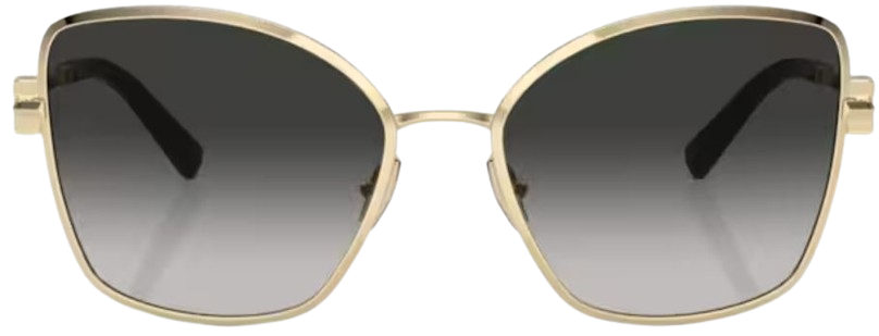 Óculos de Sol Tiffany & Co TF3102B