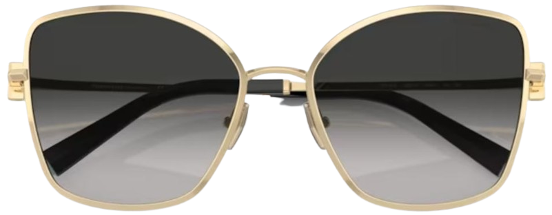 Óculos de Sol Tiffany & Co TF3102B