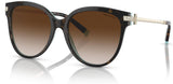 Gafas de sol Tiffany & Co TF4193B