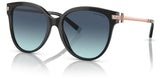 Gafas de sol Tiffany & Co TF4193B