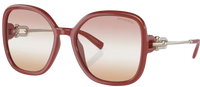 Lunettes de Soleil Tiffany & Co TF4202U