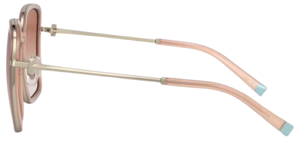 261631
