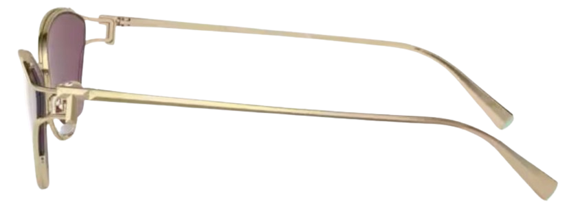 Óculos de Sol Tiffany & Co TF3095