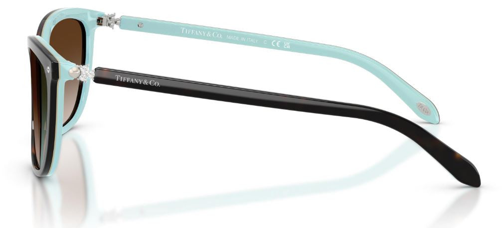Sonnenbrille Tiffany & Co TF4105HB
