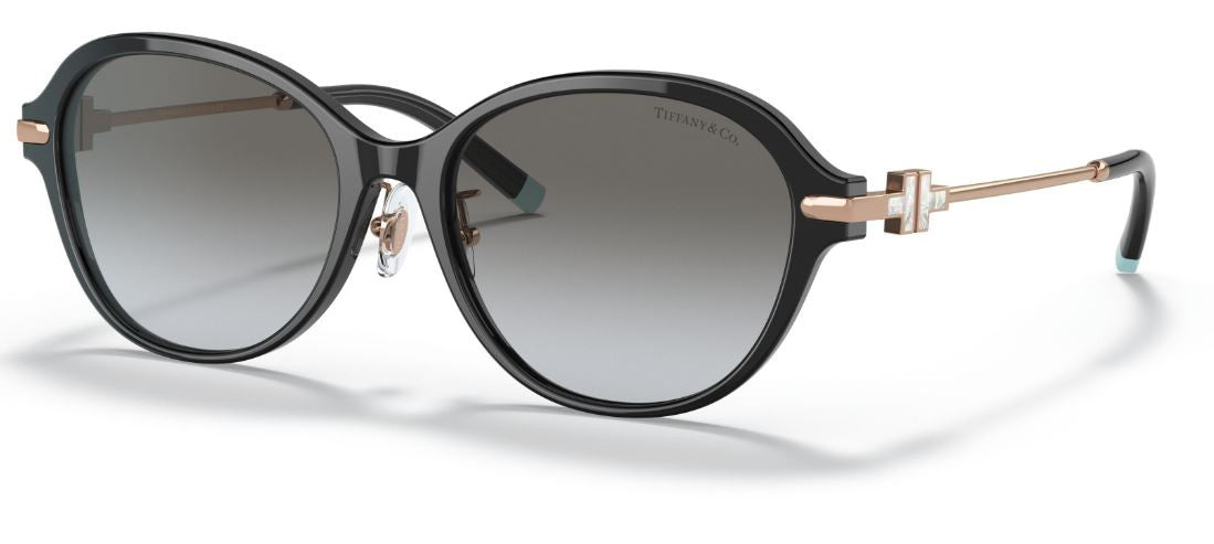 Sonnenbrillen Tiffany & Co TF4188D
