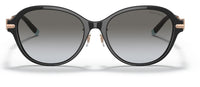 Sonnenbrillen Tiffany & Co TF4188D