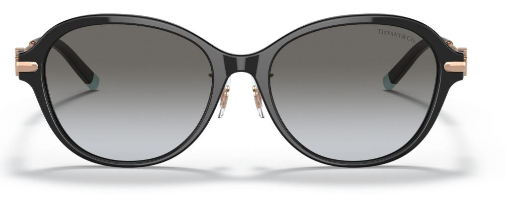 Sonnenbrillen Tiffany & Co TF4188D