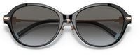 Sonnenbrillen Tiffany & Co TF4188D