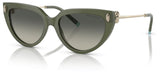 Gafas de Sol Tiffany & Co TF4195