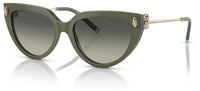Sonnenbrillen Tiffany & Co TF4195
