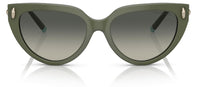 Sonnenbrillen Tiffany & Co TF4195