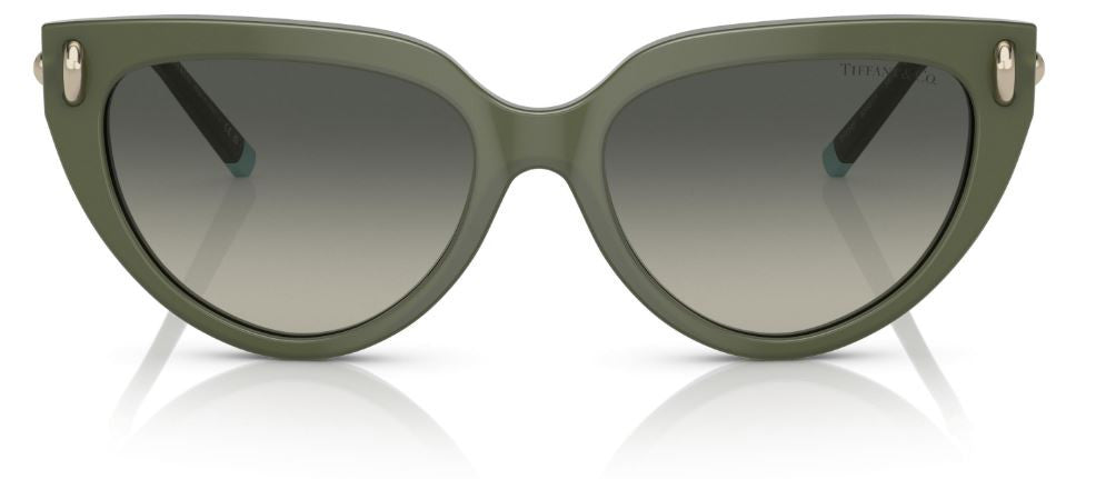 Sonnenbrillen Tiffany & Co TF4195