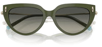 Sonnenbrillen Tiffany & Co TF4195