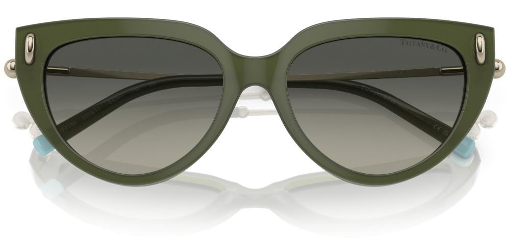 Sonnenbrillen Tiffany & Co TF4195