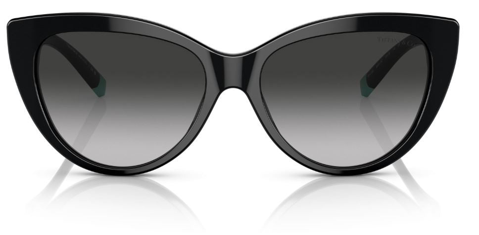 Óculos de Sol Tiffany & Co TF4196