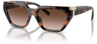 Tiffany & Co TF4205U zonnebril