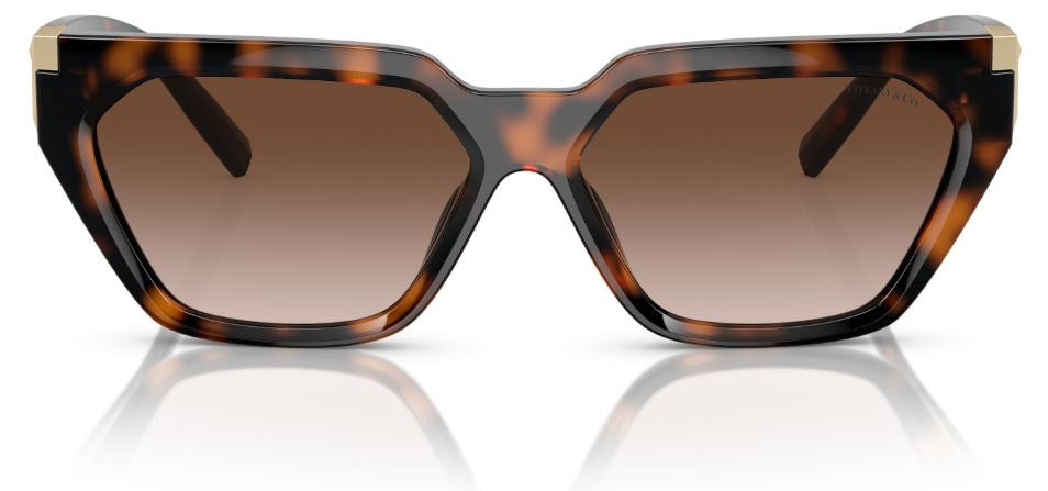 Tiffany & Co TF4205U zonnebril