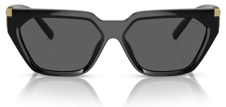 Tiffany & Co TF4205U zonnebril