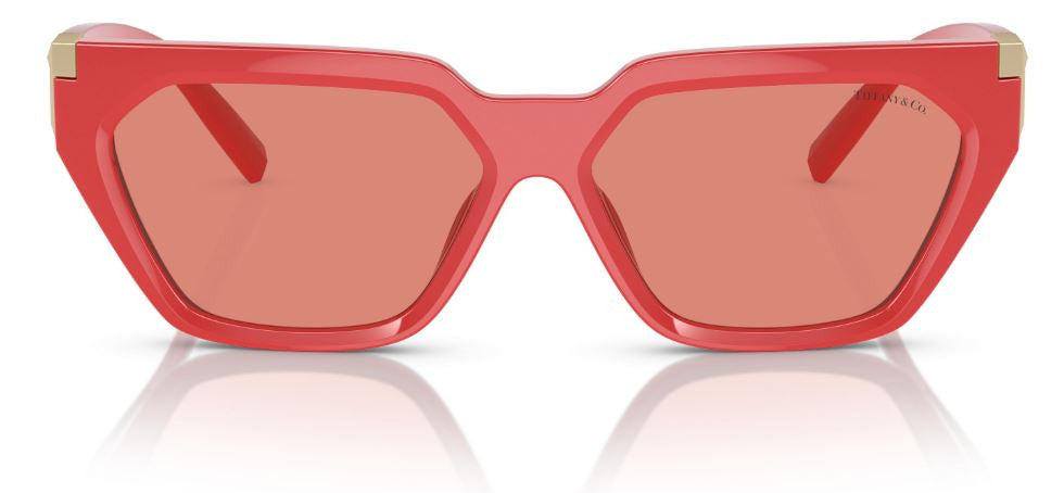 Tiffany & Co TF4205U zonnebril