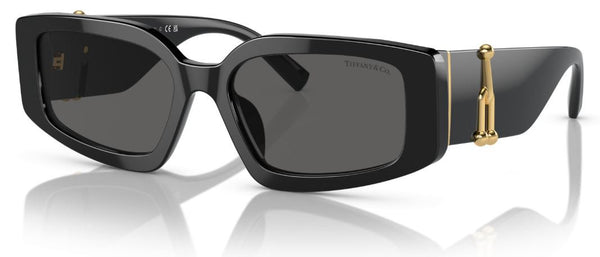 Occhiali da Sole Tiffany & Co TF4208U