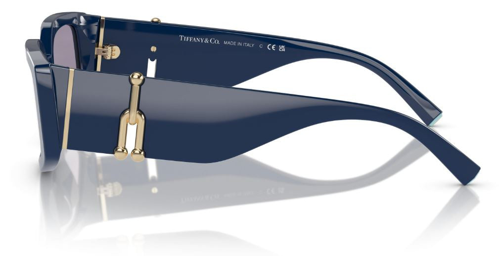 Gafas de Sol Tiffany & Co TF4208U