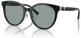 Gafas de Sol Tiffany & Co TF4209D